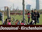 Donauinsel/Kirschenhain